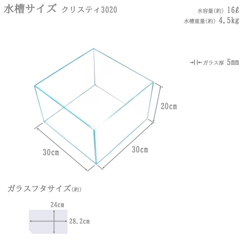 Amazon | 水槽 30cm ガラス水槽【30×30×20cm 16L】クリスティ 3020
